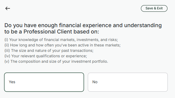 Questionnaire screen: Do you have enough financial experience and understanding to be a Professional Client?