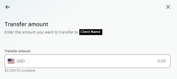 Transfer amount screen with a USD amount field and the available balance shown below it